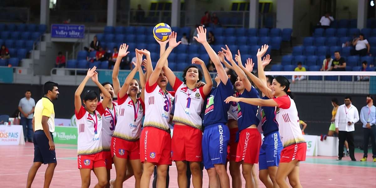 Desi Volleyball League tournament final with players celebrating victory in a festive stadium